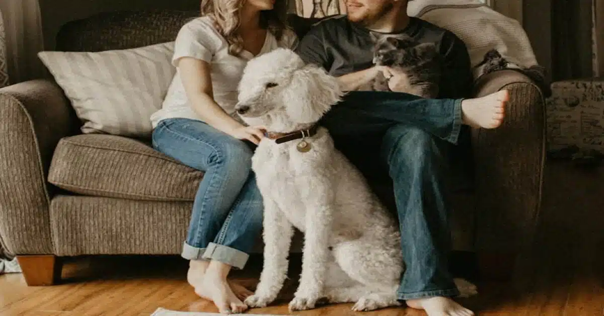 A couple sitting with two pets