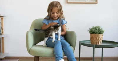 صورة توضح تفاعل الأطفال مع القطط في مقاهي القطط في دبي