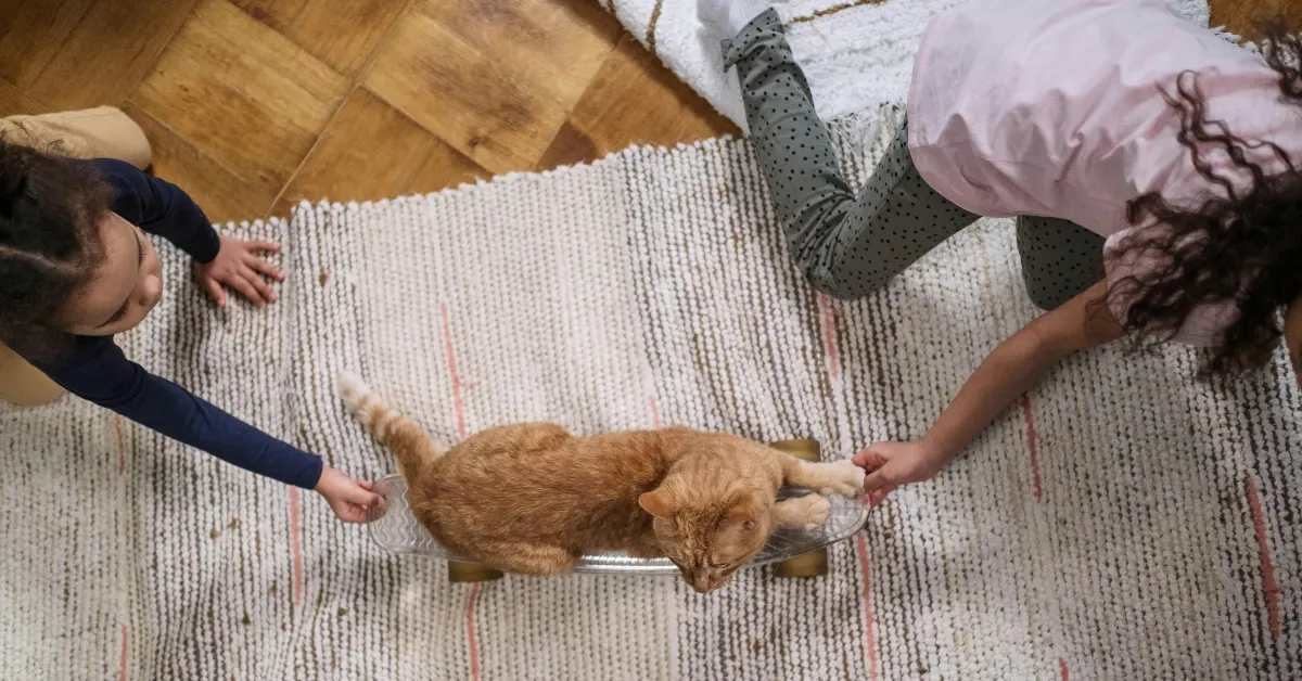 صورة توضح لعب الأطفال مع القطط الأليفة في كافيه القطط في دبي