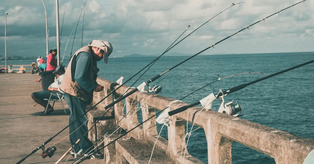 صورة توضح أفضل اماكن صيد السمك في الشارقة