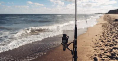 Fishing rods set up on the sand in Ajman’s coastline