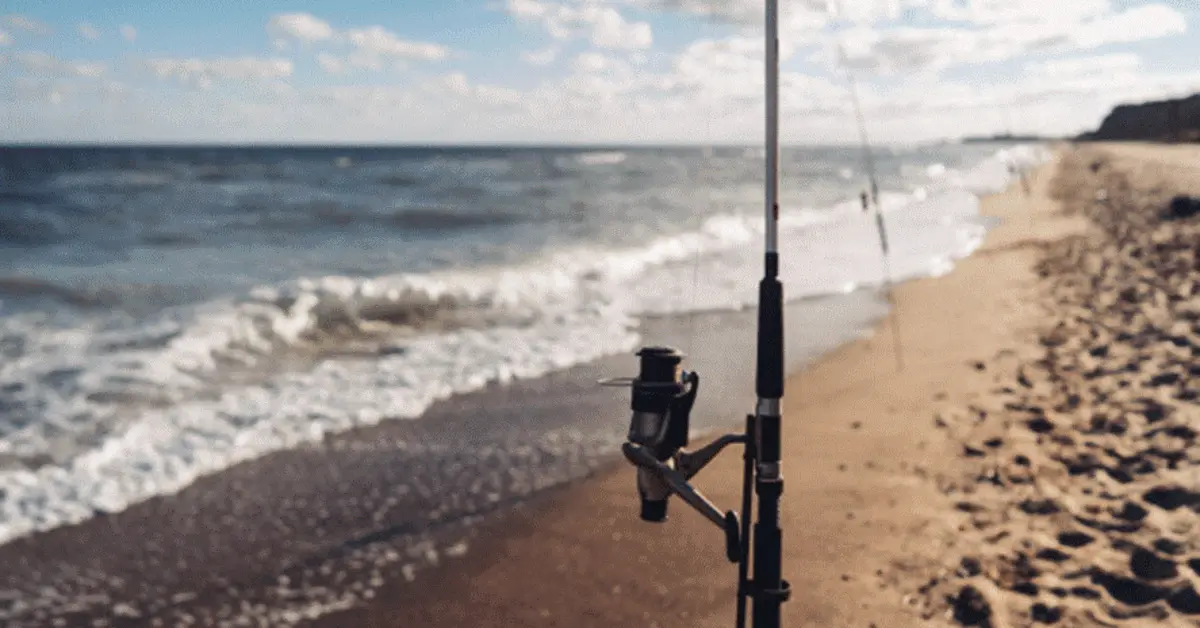 Fishing rods set up on the sand in Ajman’s coastline