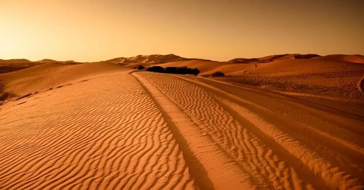 Sunset over Liwa Desert dunes