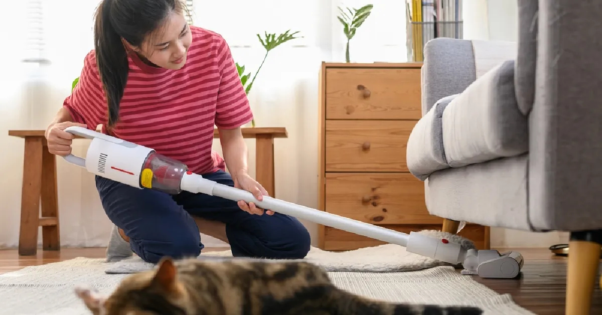 allergy proof your home