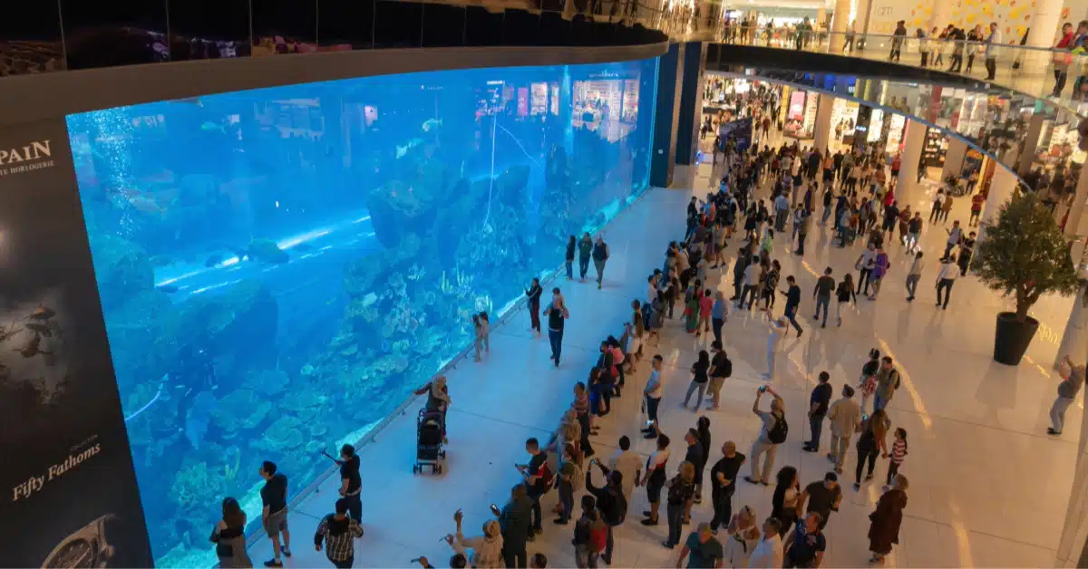 People watching fish in an aquarium in Dubai Mall