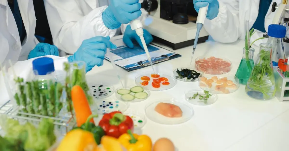 Working on food technology in Dubai