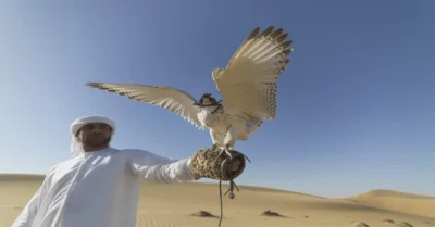 A man getting ready to play falconry in Dubai