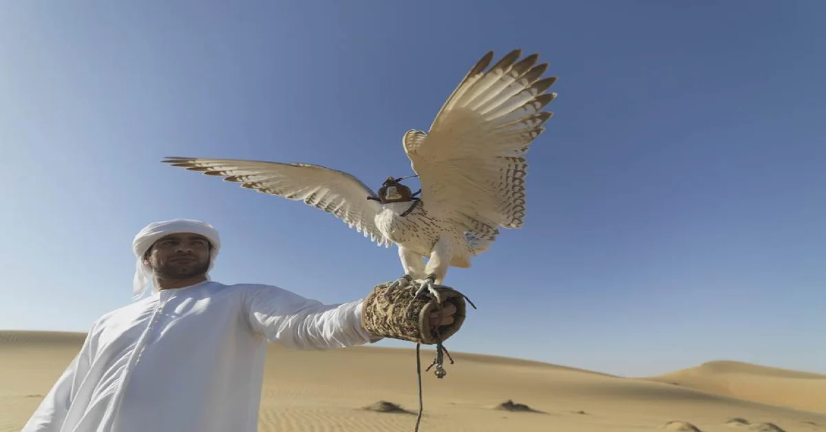 A man getting ready to play falconry in Dubai

