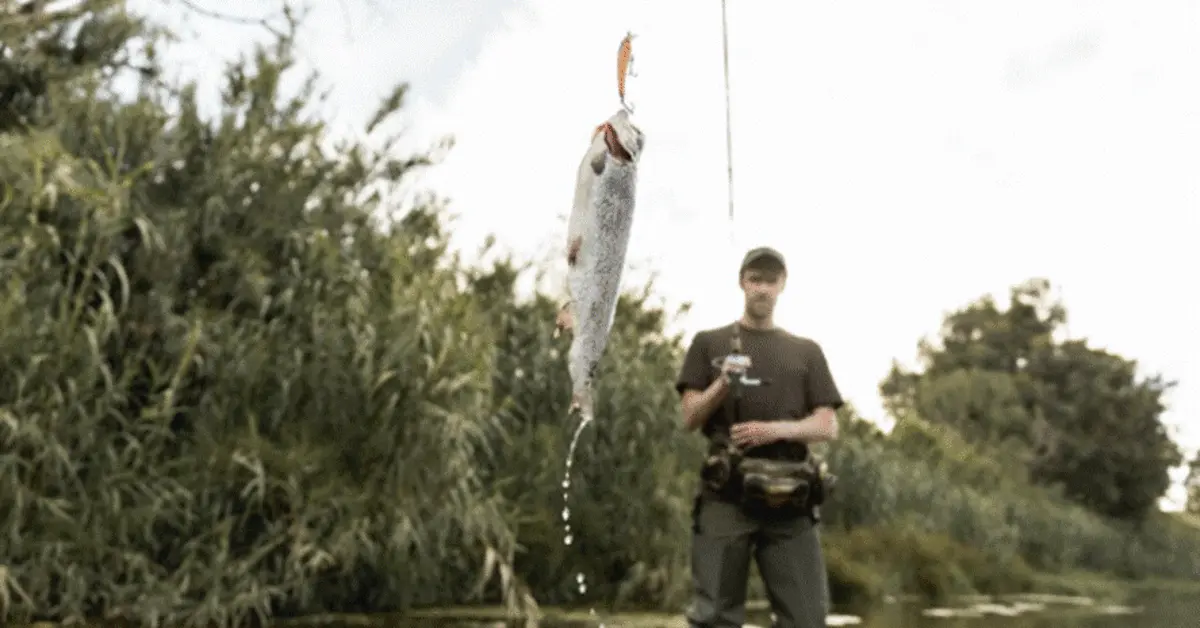 A man fishing in Ajman