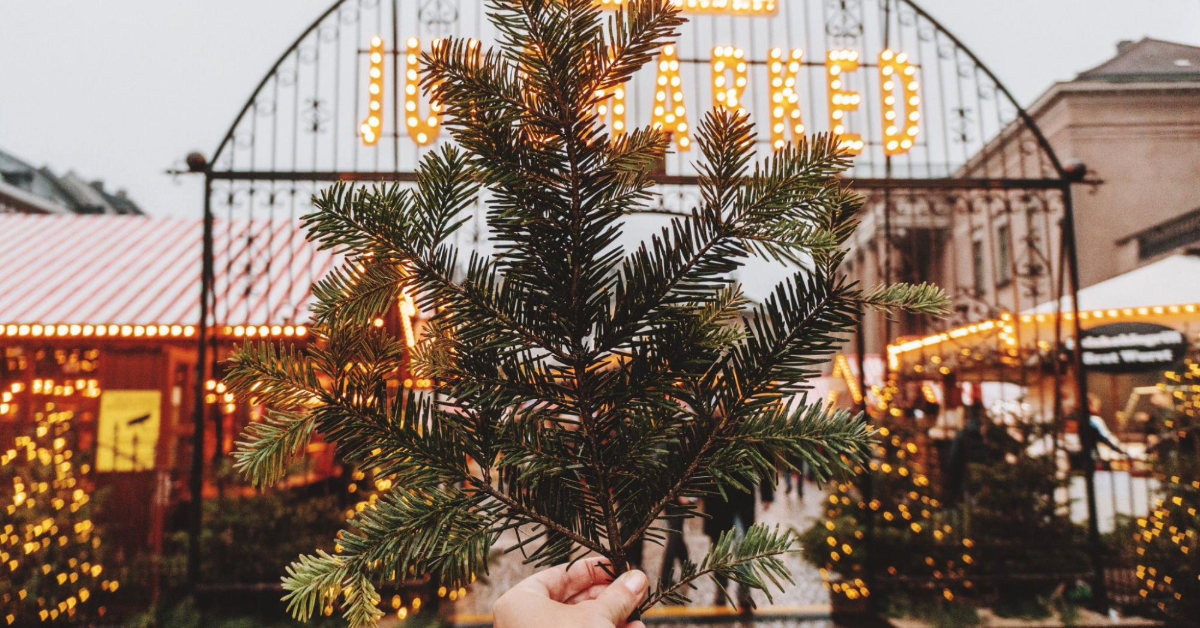 Hand holding pine tree brunch at the Christmas market