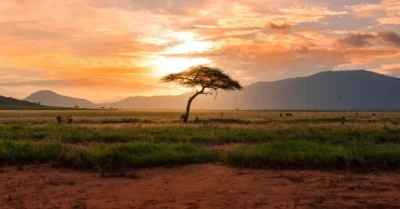 A beautiful sunset over Tsavo East National Park, Kenya