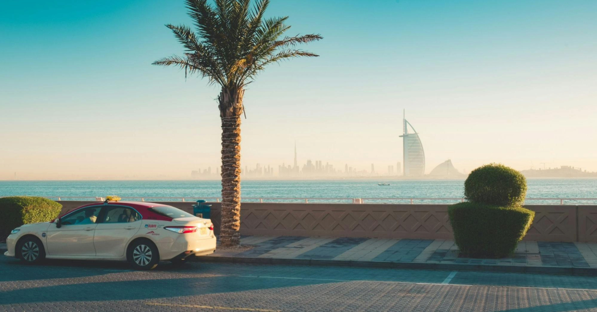 A taxi parked near the palm tree in the daylight