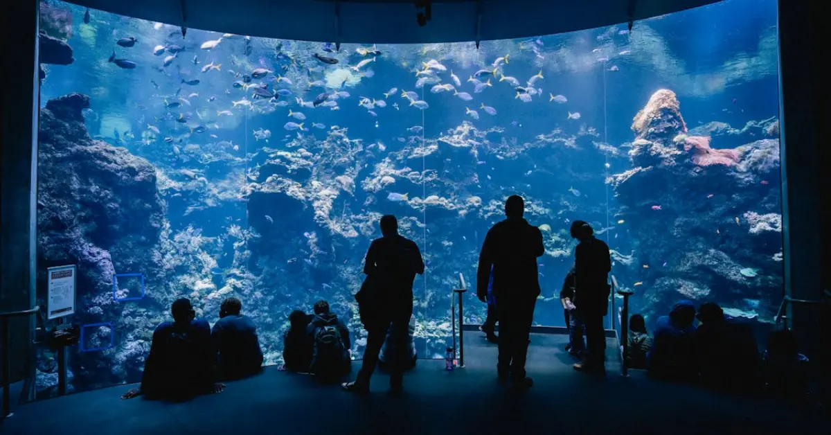 Group of Tourists Watching Sea Life