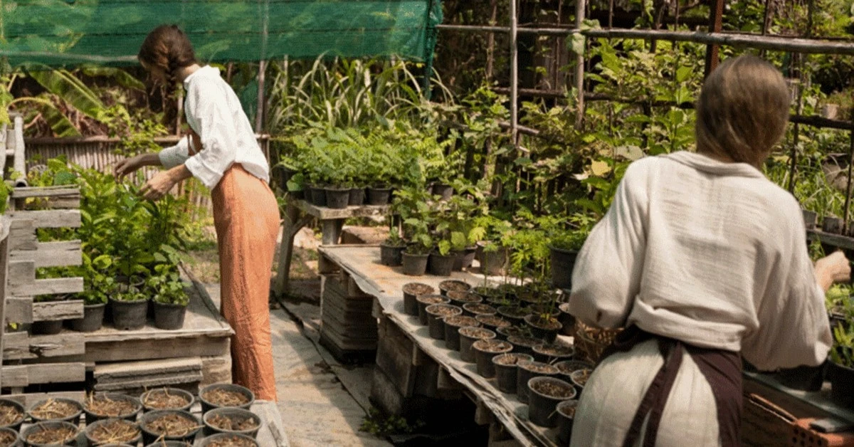 People caring for potted plants in an Ajman plant nursery