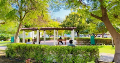 People enjoying themselves in the park