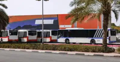 X25 buses standing in the bus station