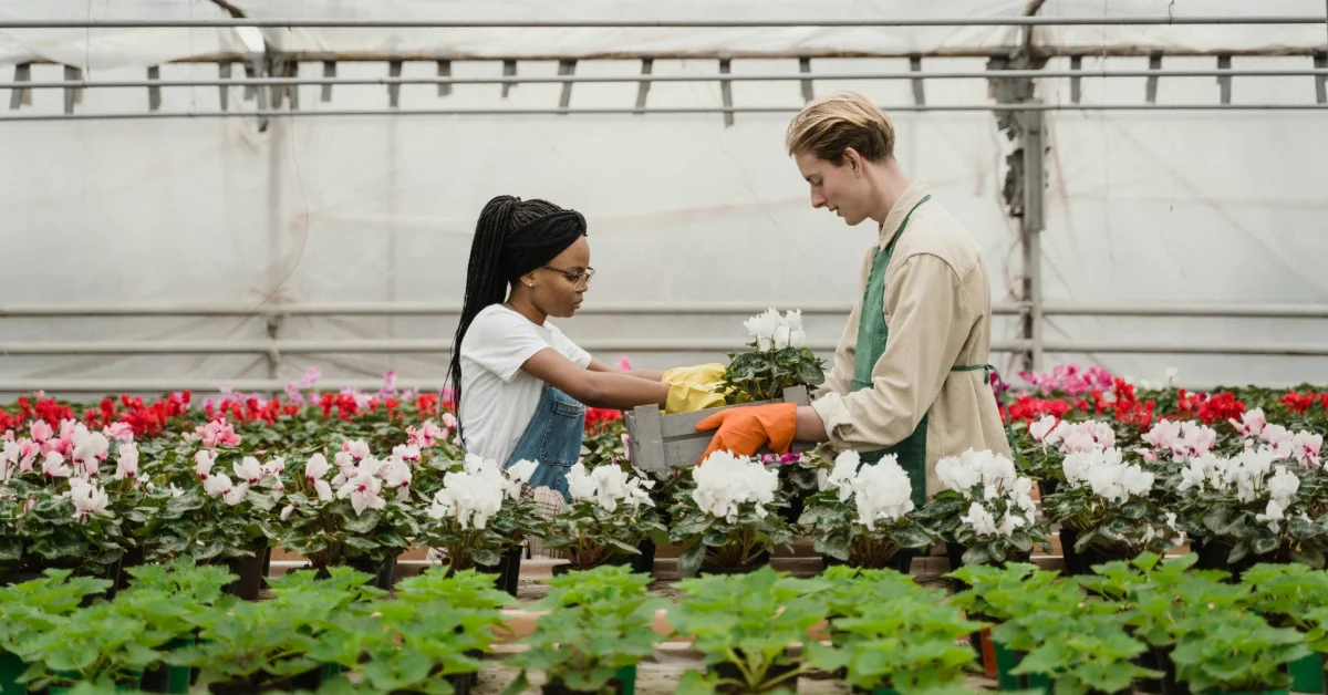 People caring for flowers in a plant nursery in Ras Al Khaimah