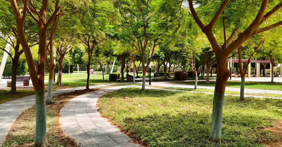 حديقة في دبي