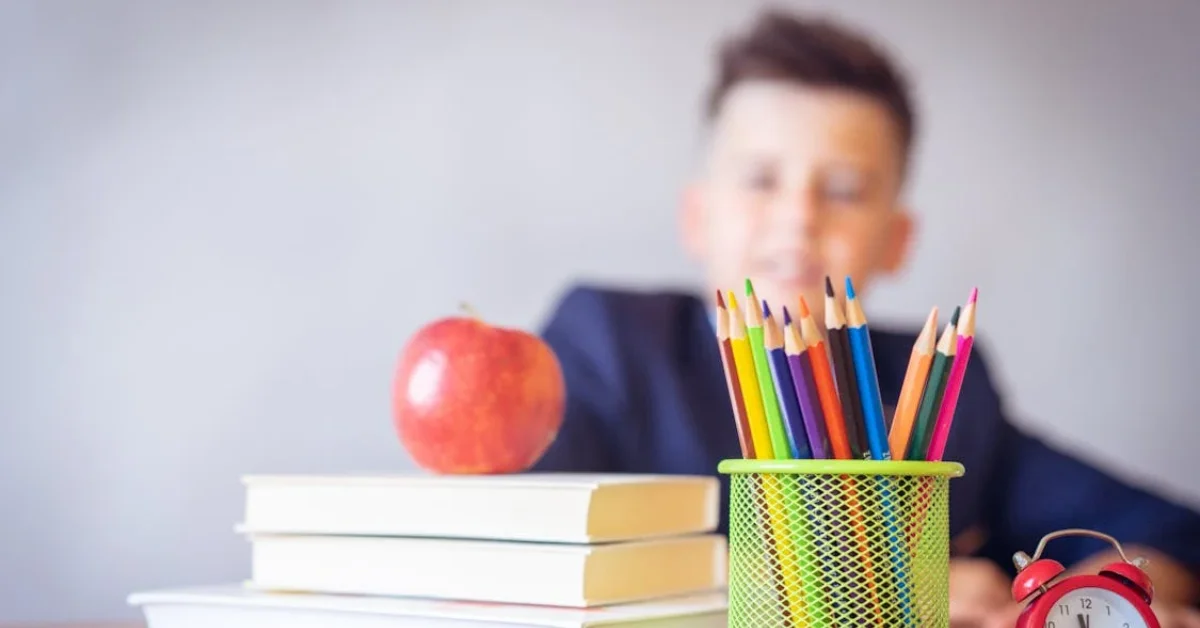 Boy in a school near Town Square