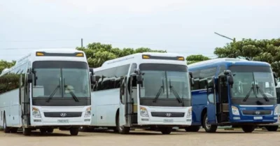 A line of Abu Dhabi Link buses in the bus station
