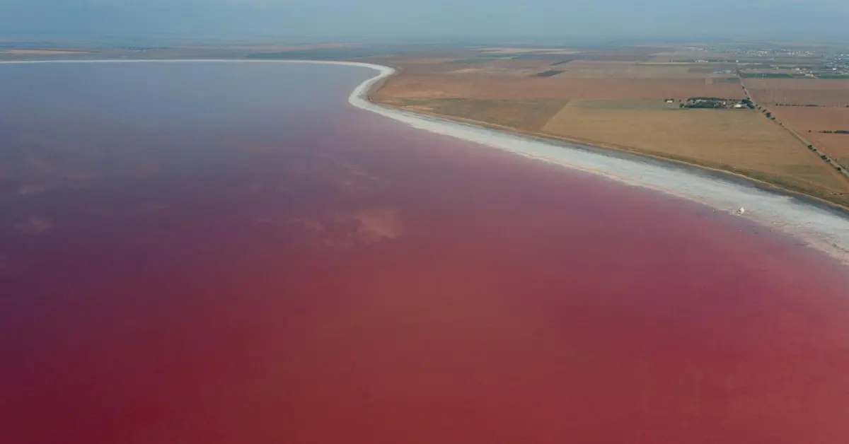 صورة للبحيرة الوردية بعد غروب الشمس