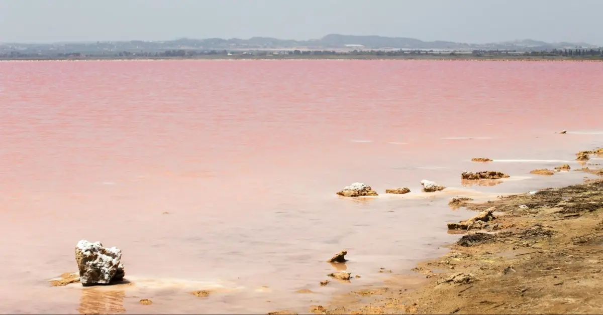 صورة للبحيرة الوردية