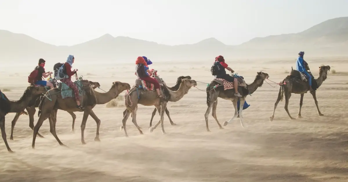 Camel riding across the desert dunes