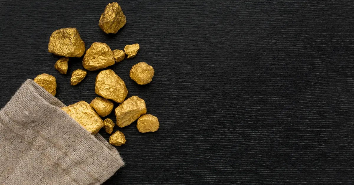 a bag with gold in it