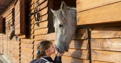 A child standing with her horse in one of the best Dubai Horse Stables
