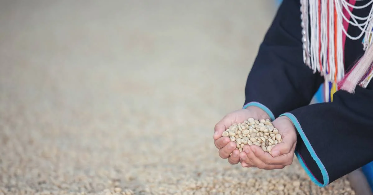 يد امرأة تحمل مجموعة من الحبوب الغذائية