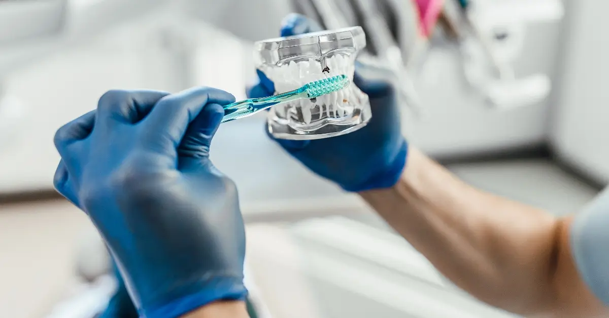 A dentist cleaning a dental model with a brush