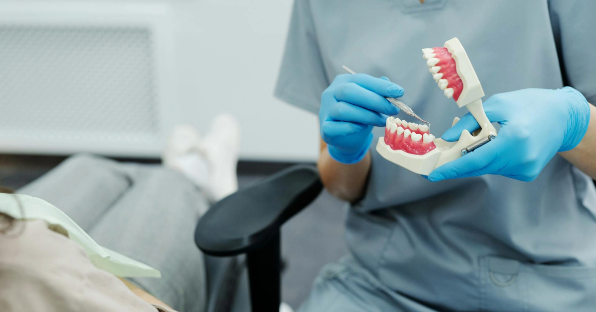 A Person Holding a Teeth Model and a Dental Scaler