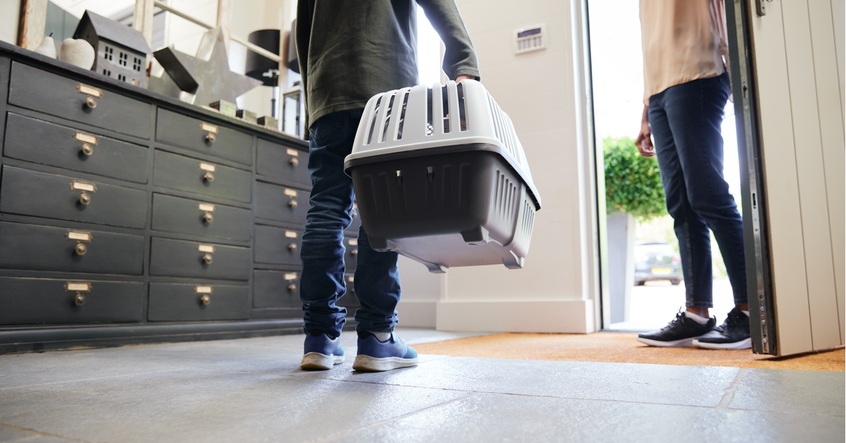Couple preparing their pet for relocation