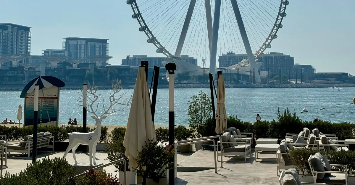 كافيه على البحر بإطلالة عين دبي