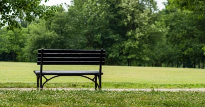Bench in a park