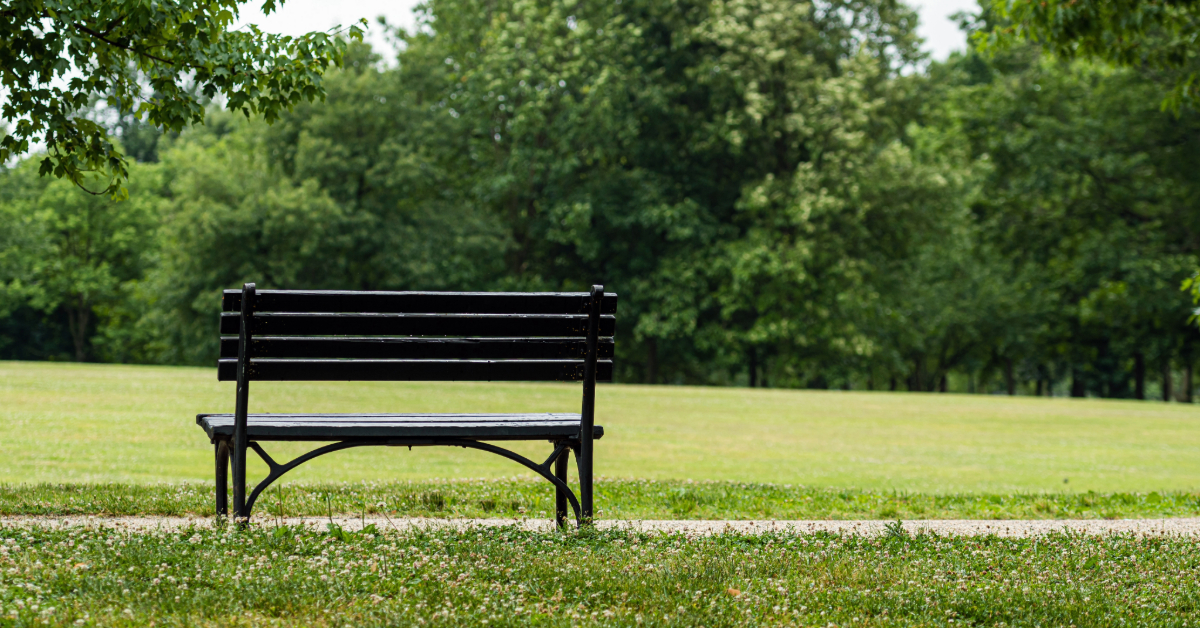 Bench in a park