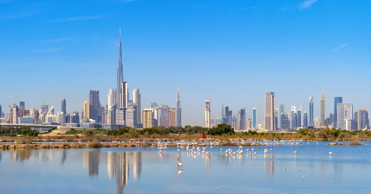 Dubai Downtown skyline