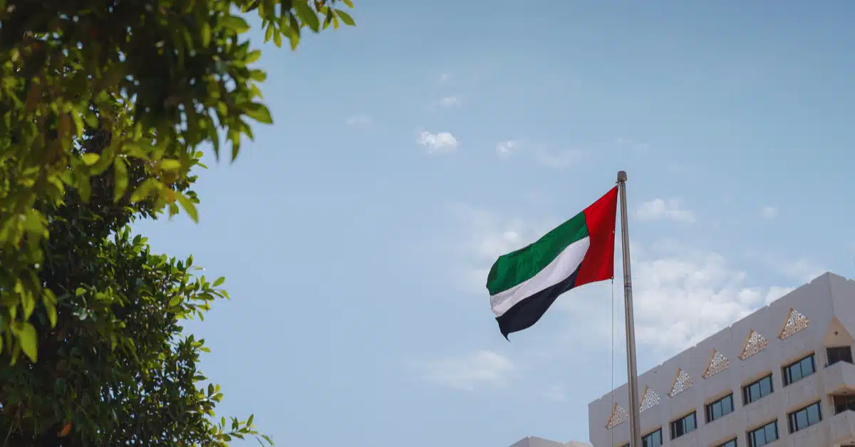 National flag waving against the sky