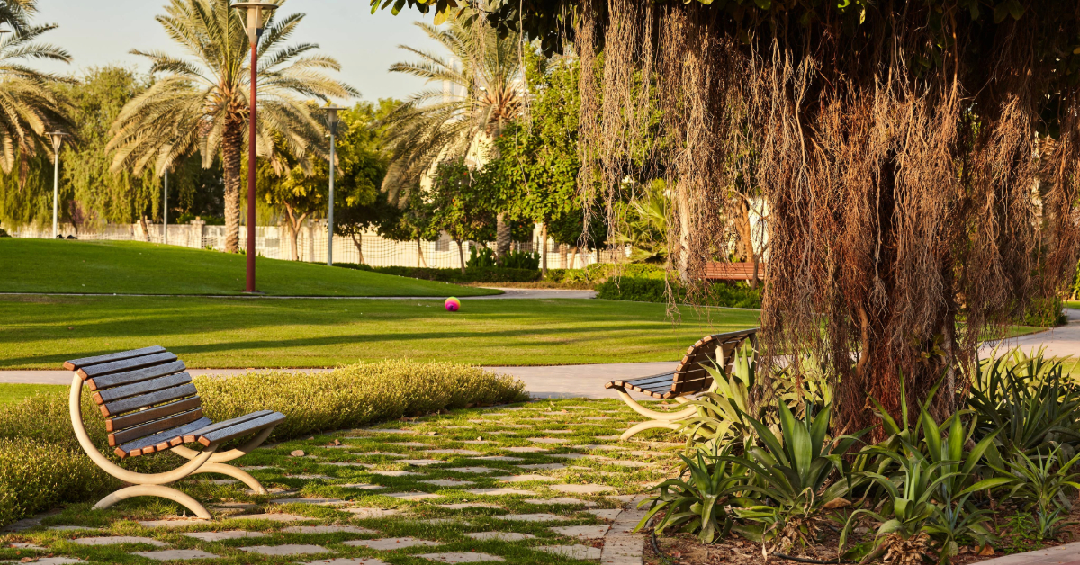 Sunny day in a beautiful Park with paths and cosy benches