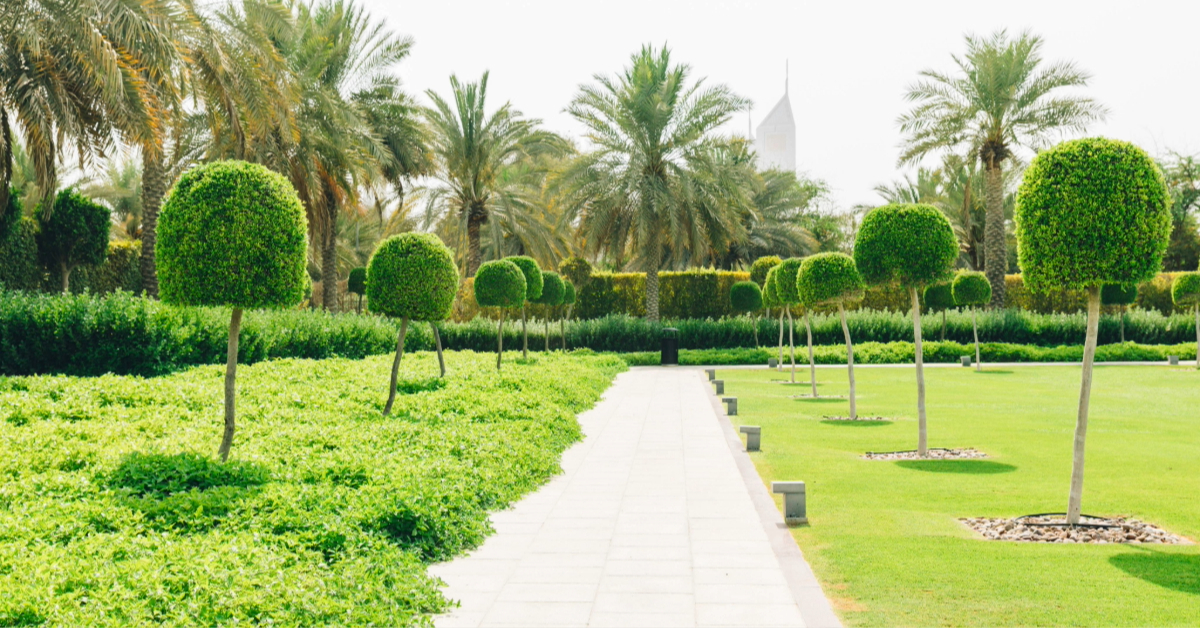 Walkway lane path with green decoration, trees, and palms
