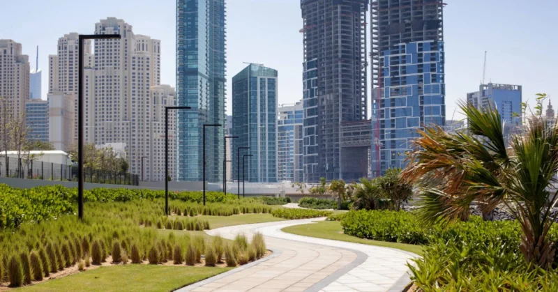 green park with skyline views in Dubai