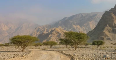 A wadi near Ras al Khaimah