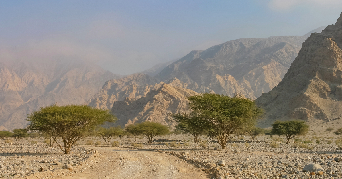 A wadi near Ras al Khaimah