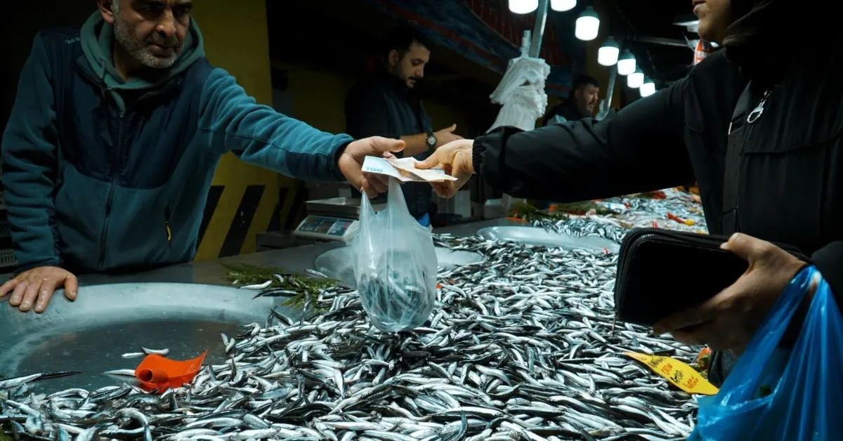 بائع سمك في سوق ميناء زايد المطور يعرض أنواعًا مختلفة من الأسماك المحلية الطازجة للزبائن