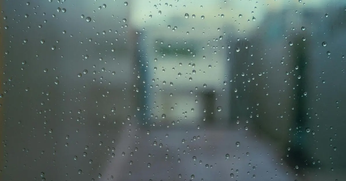صورة من خلف الزجاج للغرفة الماطرة