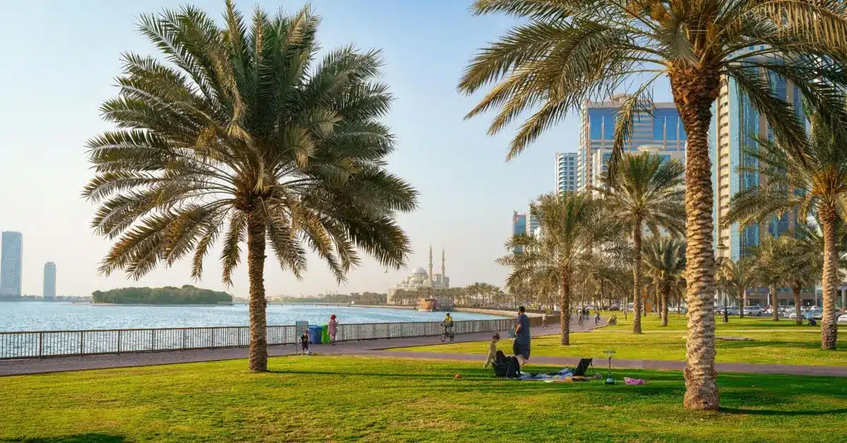 منظر بانورامي واسع لمنتزه كشيشة في الشارقة يظهر المساحات الخضراء