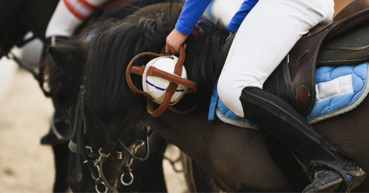 Ghantoot polo club