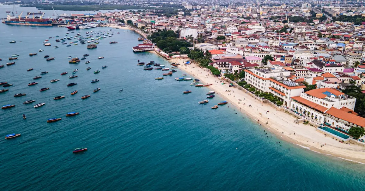Types of Tanzania Visas Available for UAE Residents