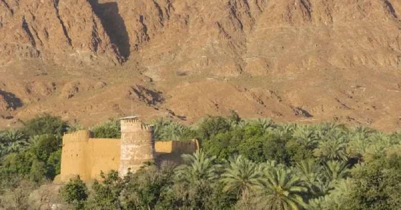وادي الحلو