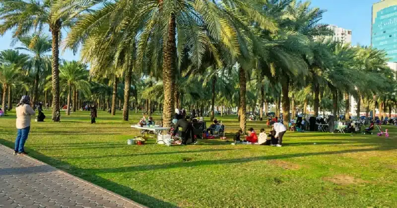 حدائق الشواء في ابوظبي